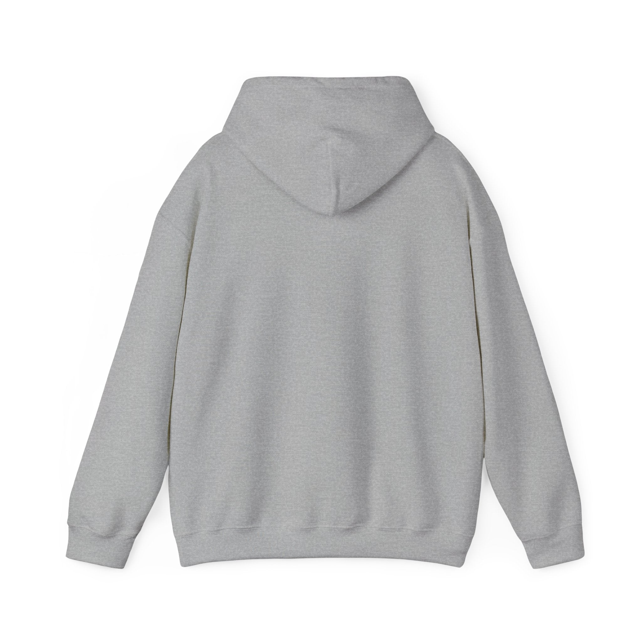 Speak Life Ephesians 4:29 Hoodie Pullover