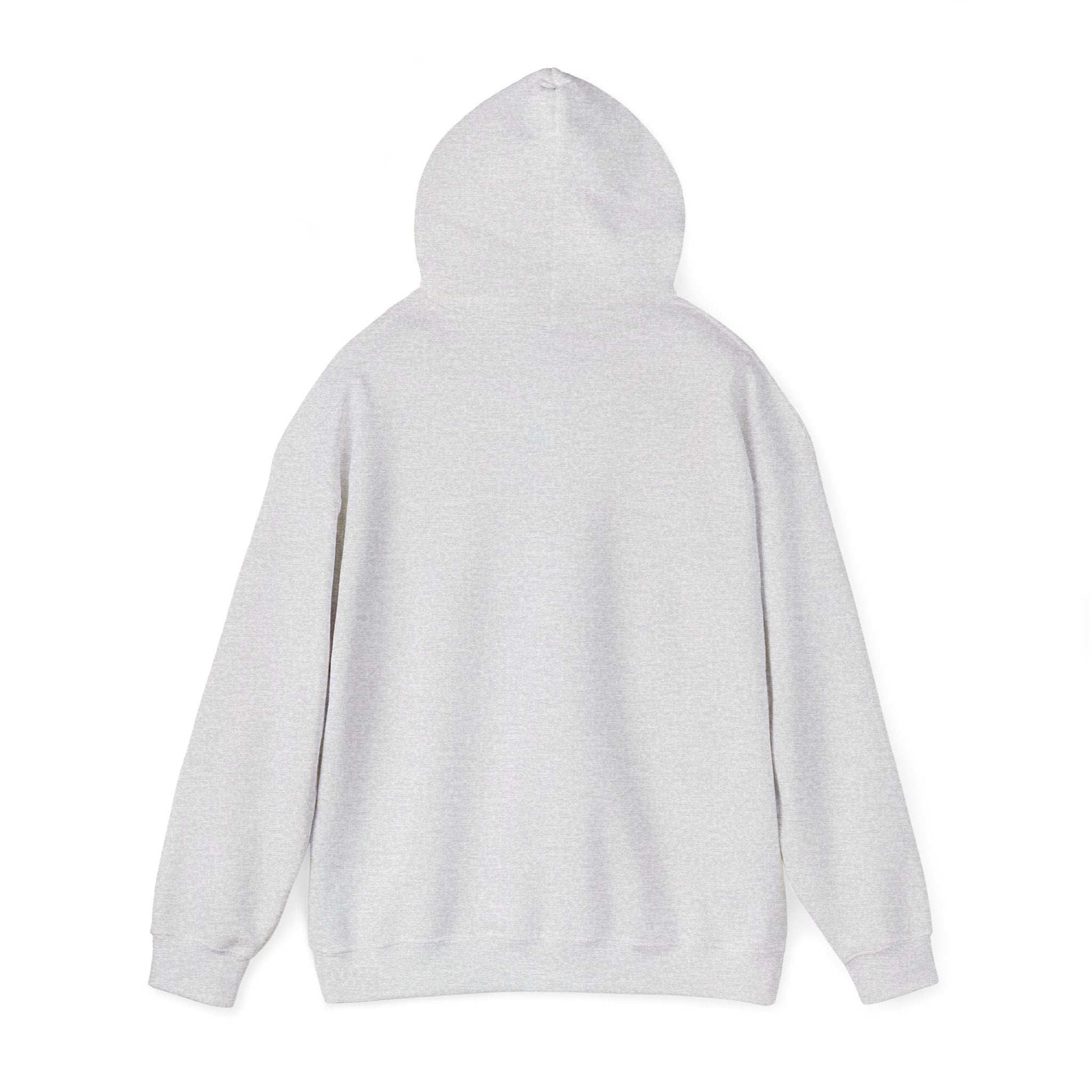 Speak Life Ephesians 4:29 Hoodie Pullover