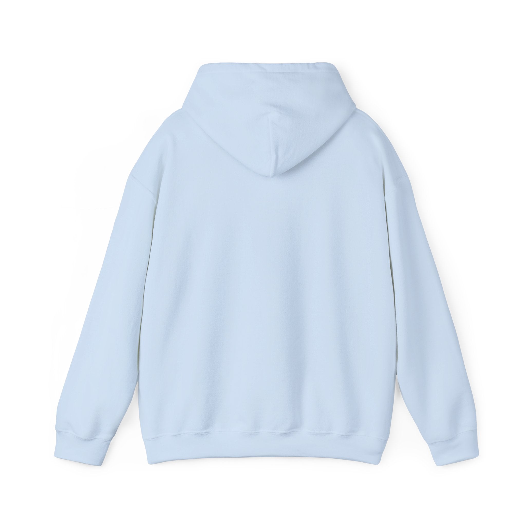 Speak Life Ephesians 4:29 Hoodie Pullover