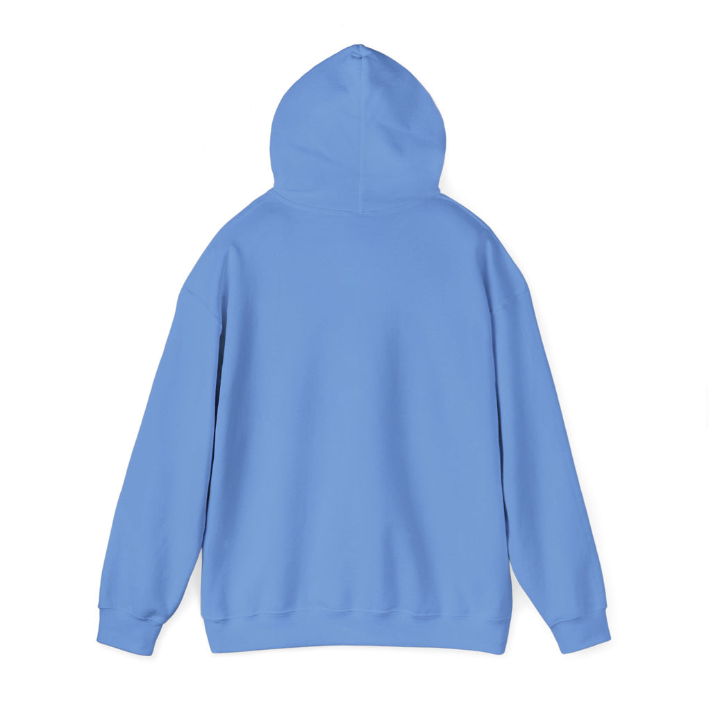 Speak Life Ephesians 4:29 Hoodie Pullover
