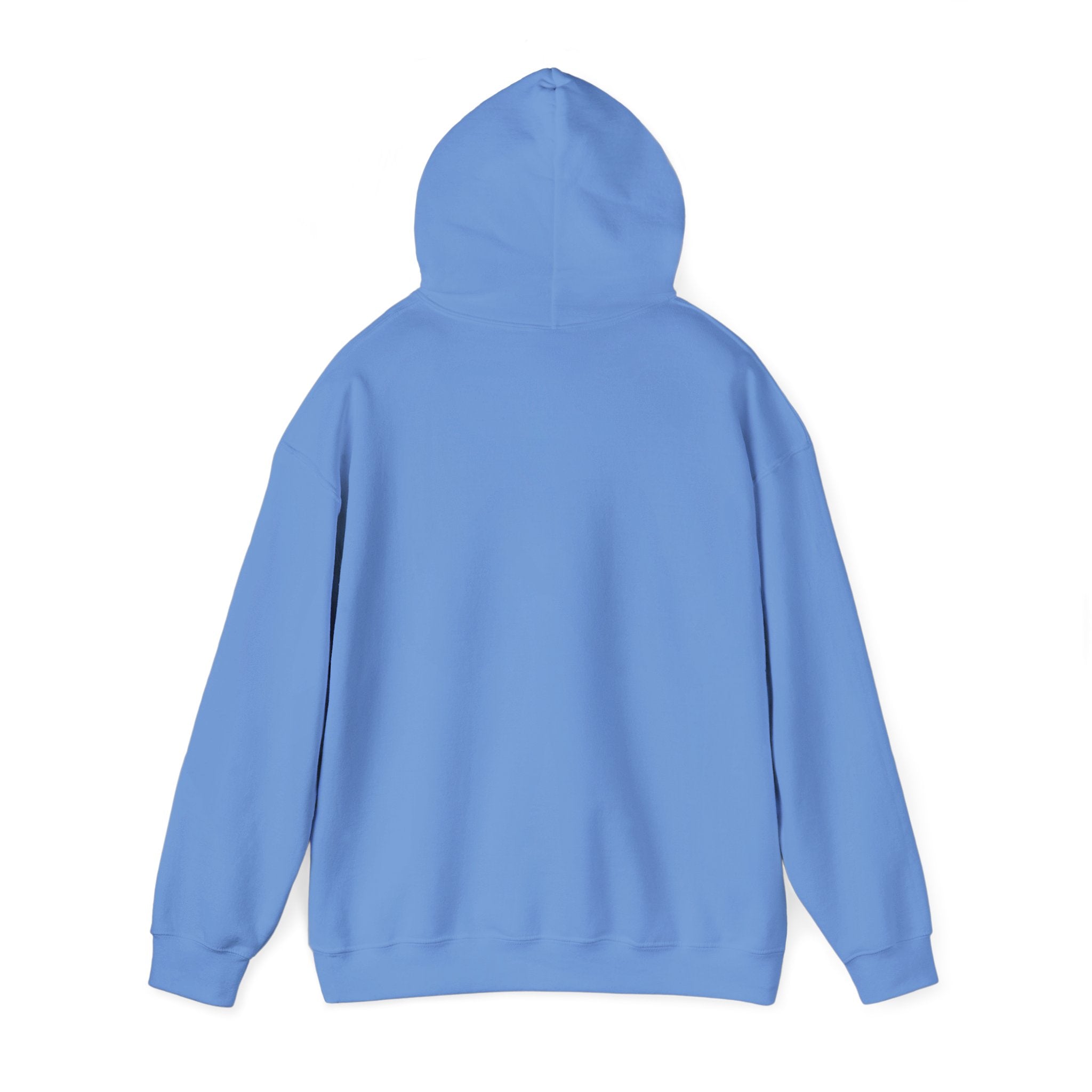 Speak Life Ephesians 4:29 Hoodie Pullover