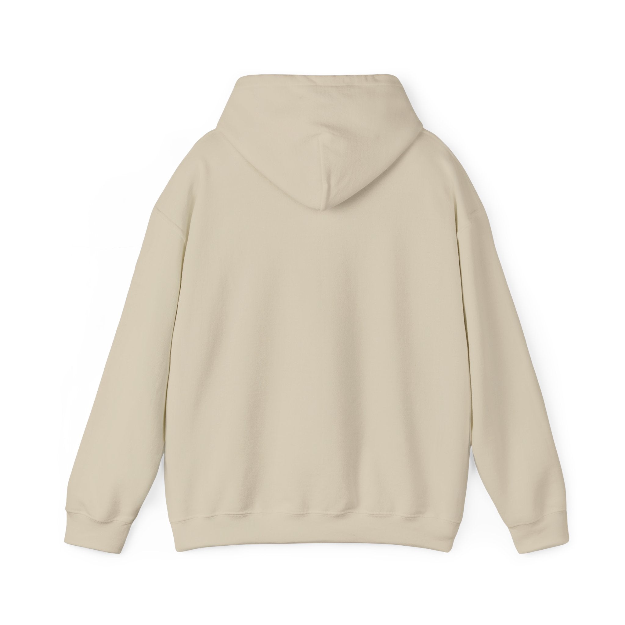 Speak Life Ephesians 4:29 Hoodie Pullover
