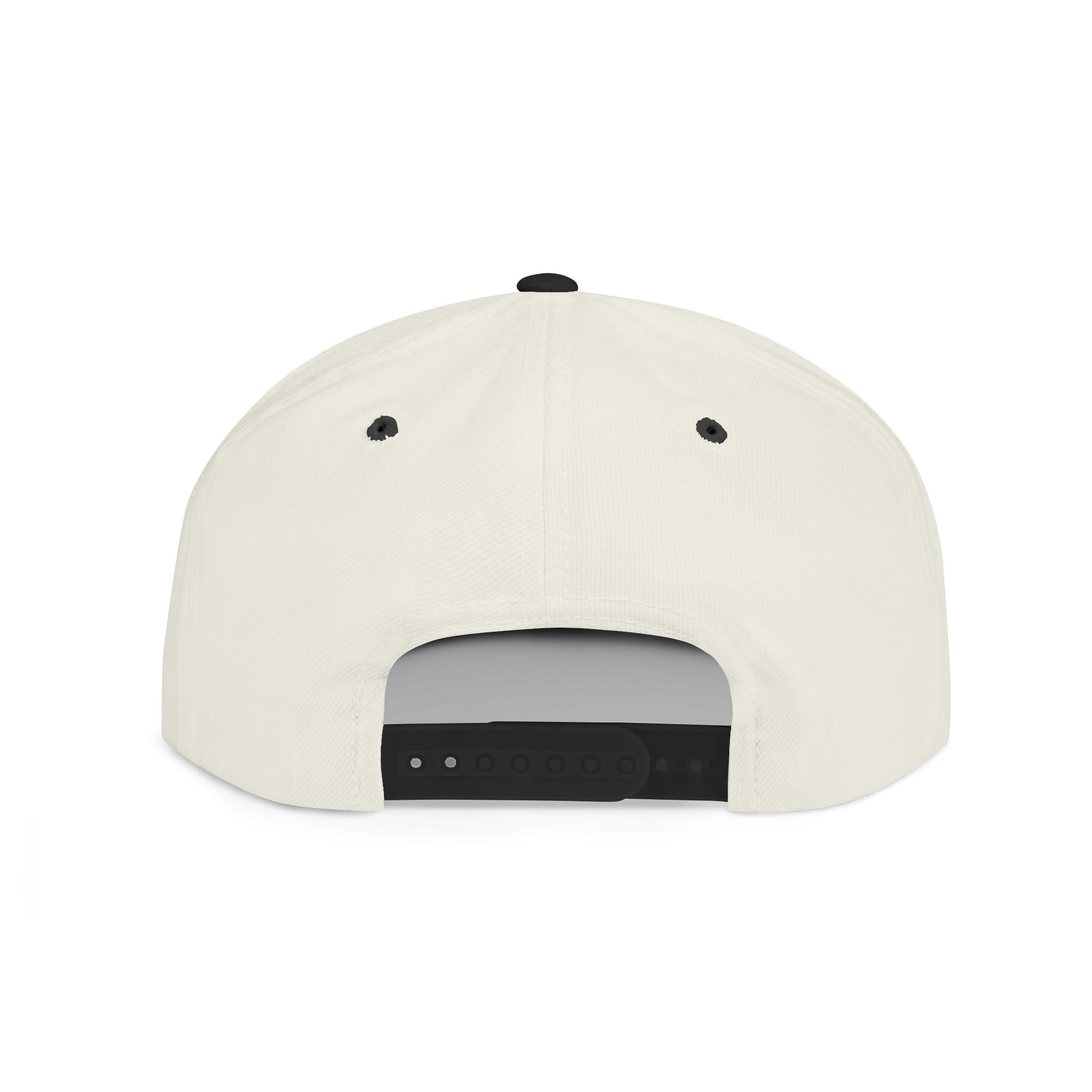All In Colossians 3:23 Flat Bill Snapback Hat