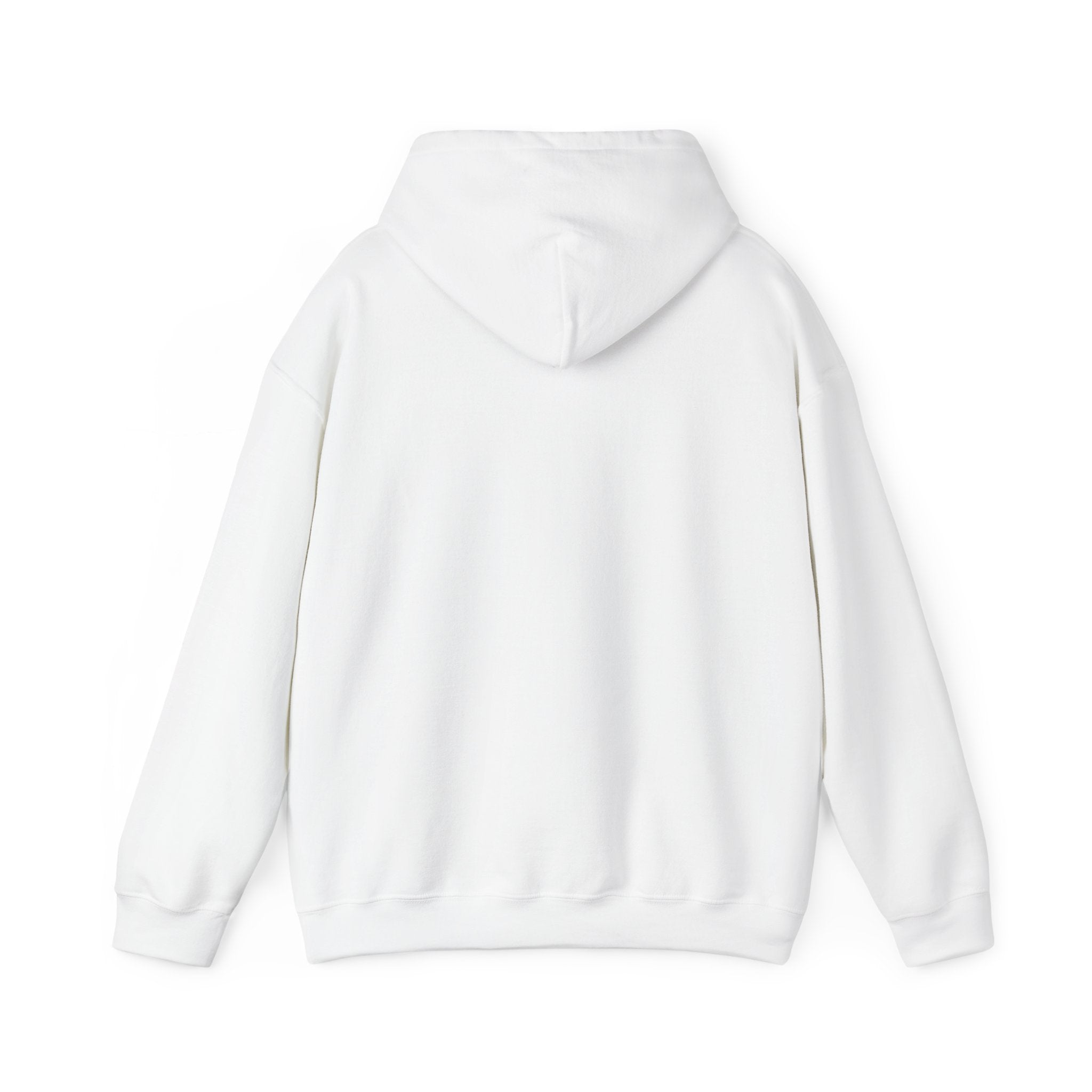 Speak Life Ephesians 4:29 Hoodie Pullover