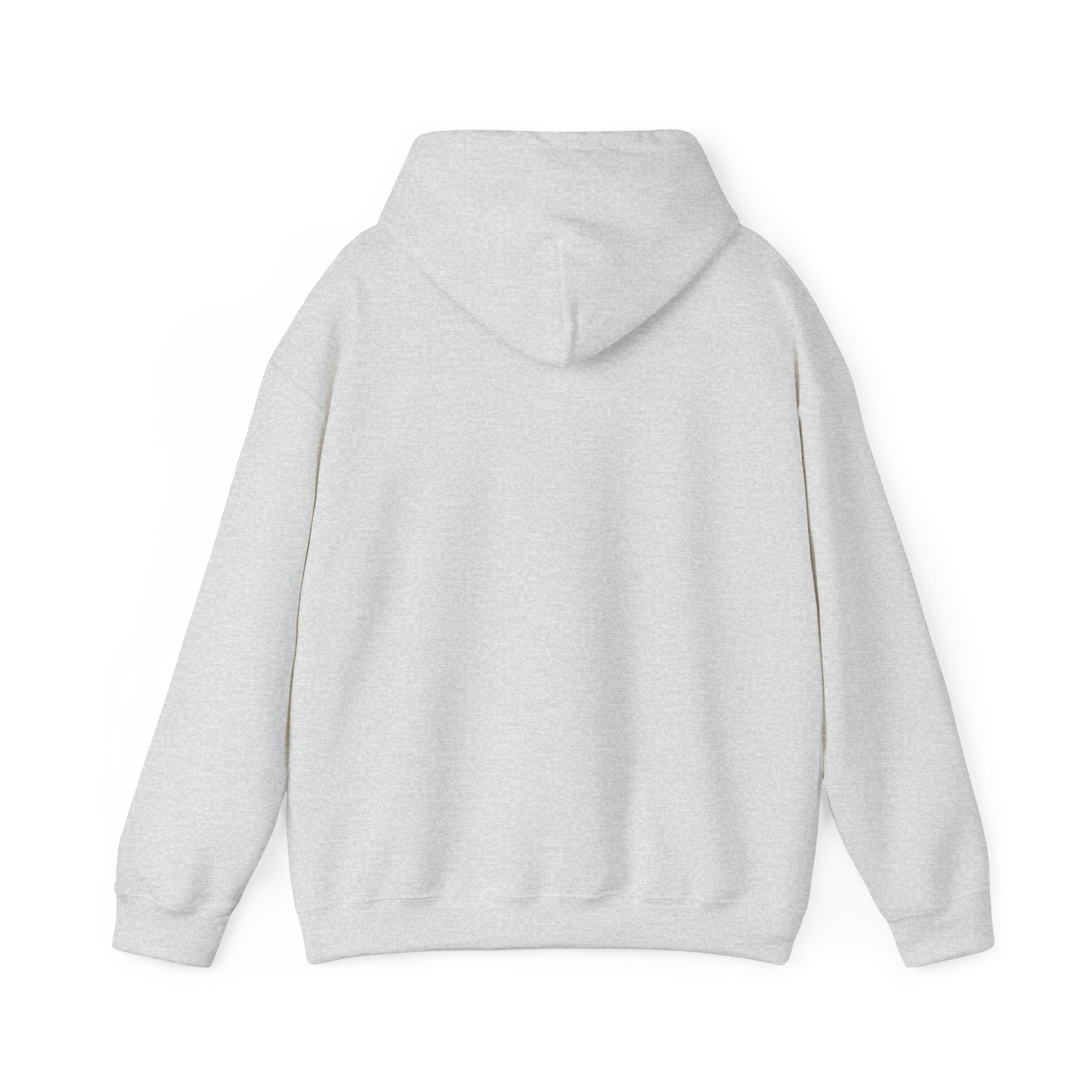Speak Life Ephesians 4:29 Hoodie Pullover