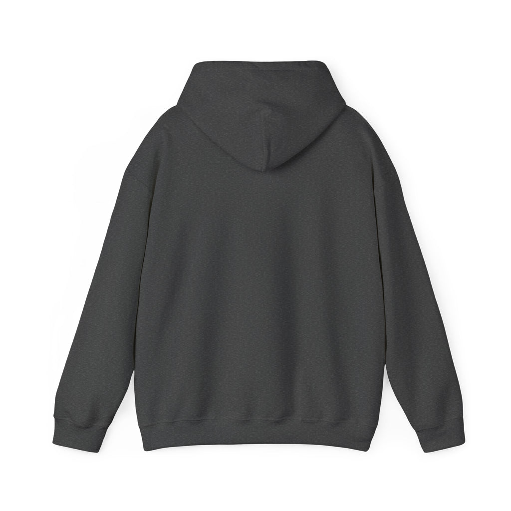 Speak Life Ephesians 4:29 Hoodie Pullover