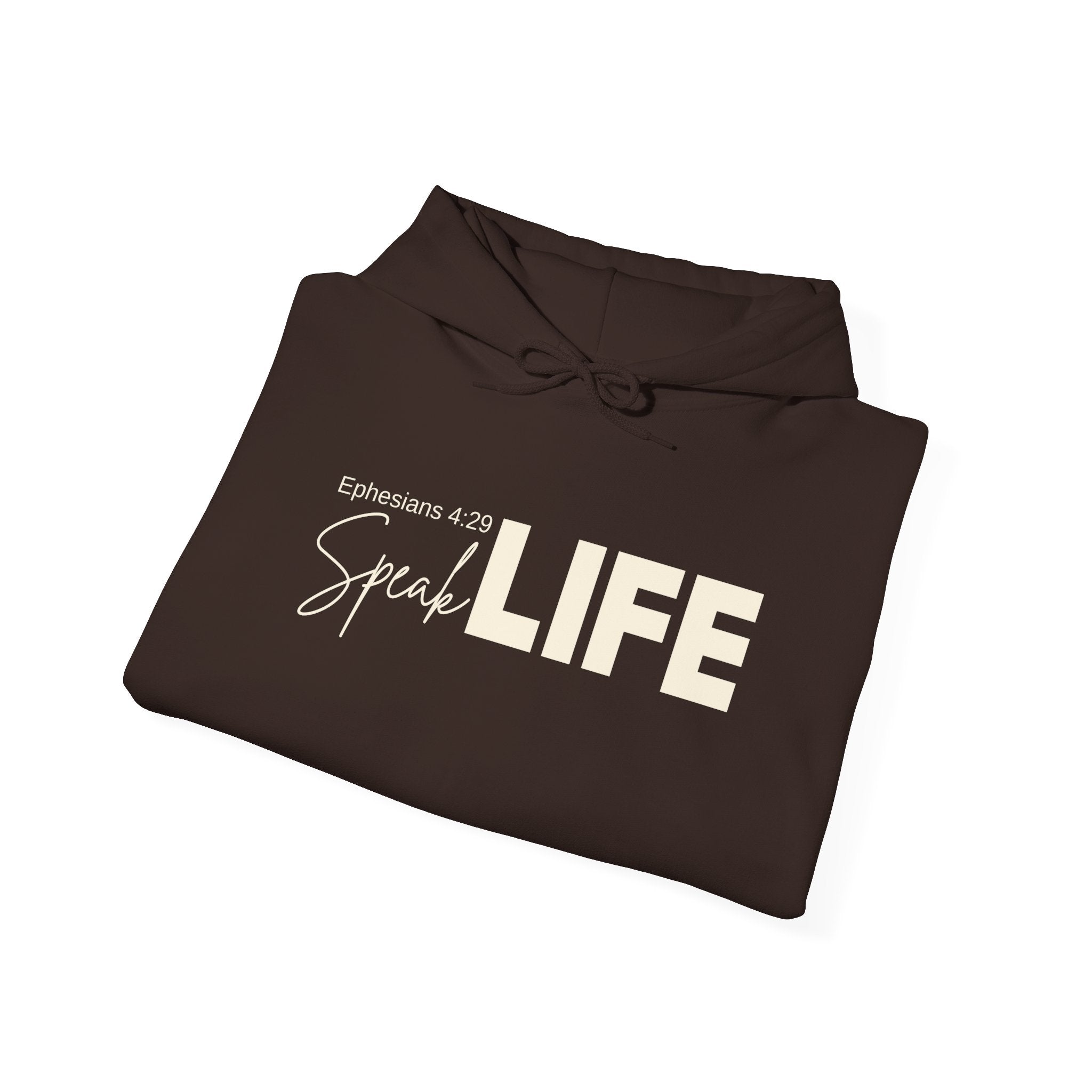 Speak Life Ephesians 4:29 Hoodie Pullover