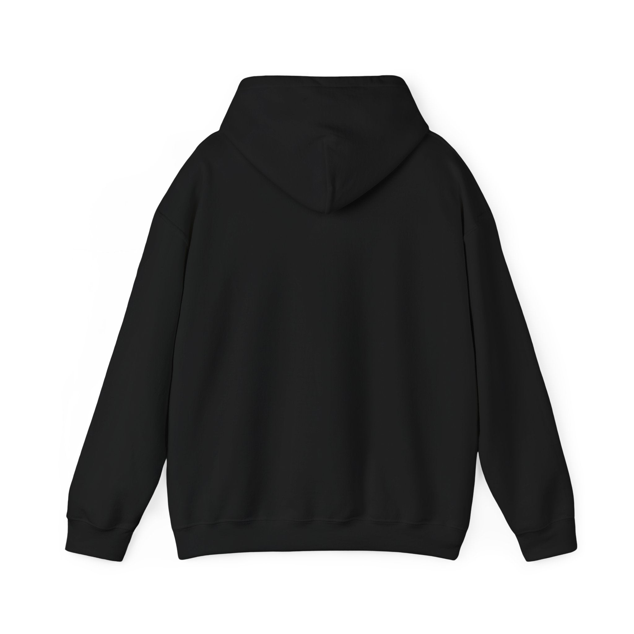 Speak Life Ephesians 4:29 Hoodie Pullover