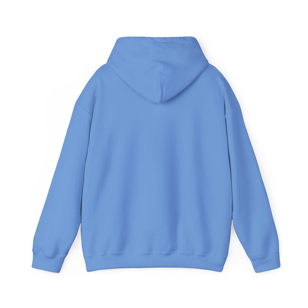 Speak Life Ephesians 4:29 Hoodie Pullover