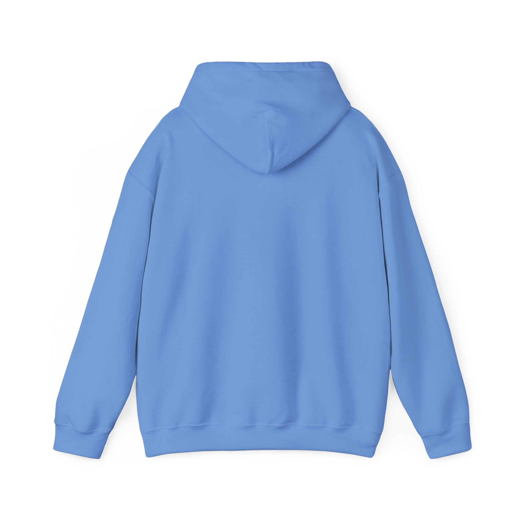 Speak Life Ephesians 4:29 Hoodie Pullover